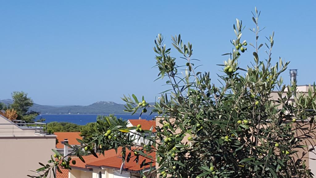 Apartment Garden Terrace Zadar Eksteriør bilde